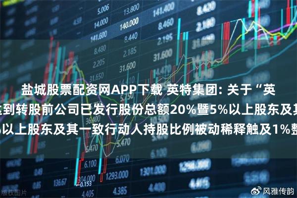 盐城股票配资网APP下载 英特集团: 关于“英特转债”转股数额累计达到转股前公司已发行股份总额20%暨5%以上股东及其一致行动人持股比例被动稀释触及1%整数倍的公告